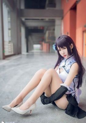 九重紫电视剧在线观看免费全集
