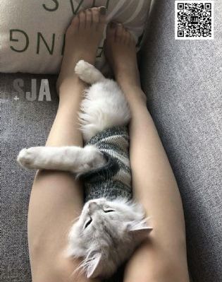系统逼我做反派
