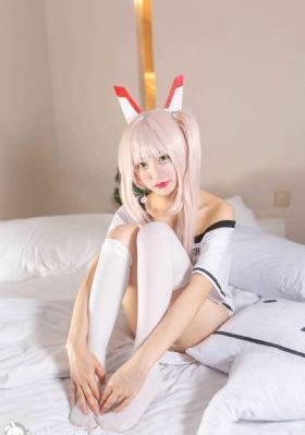 免费看理论片手机在线看