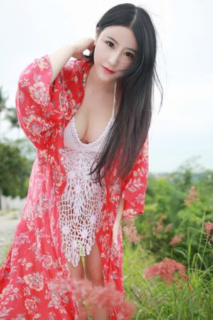 天泪传奇之凤凰无双56集免费观看